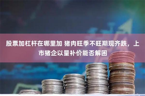 股票加杠杆在哪里加 猪肉旺季不旺期现齐跌，上市猪企以量补价能否解困